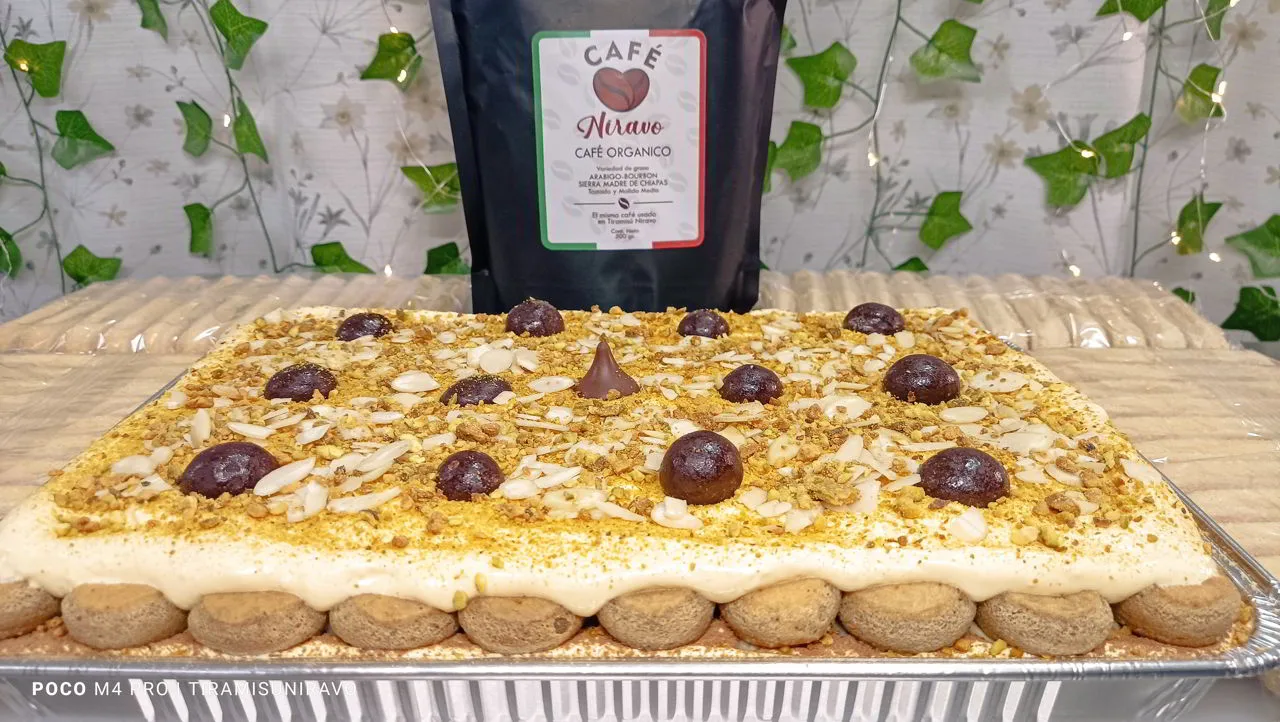 Tiramisú G12 Pistaches Almendras 2 Capas