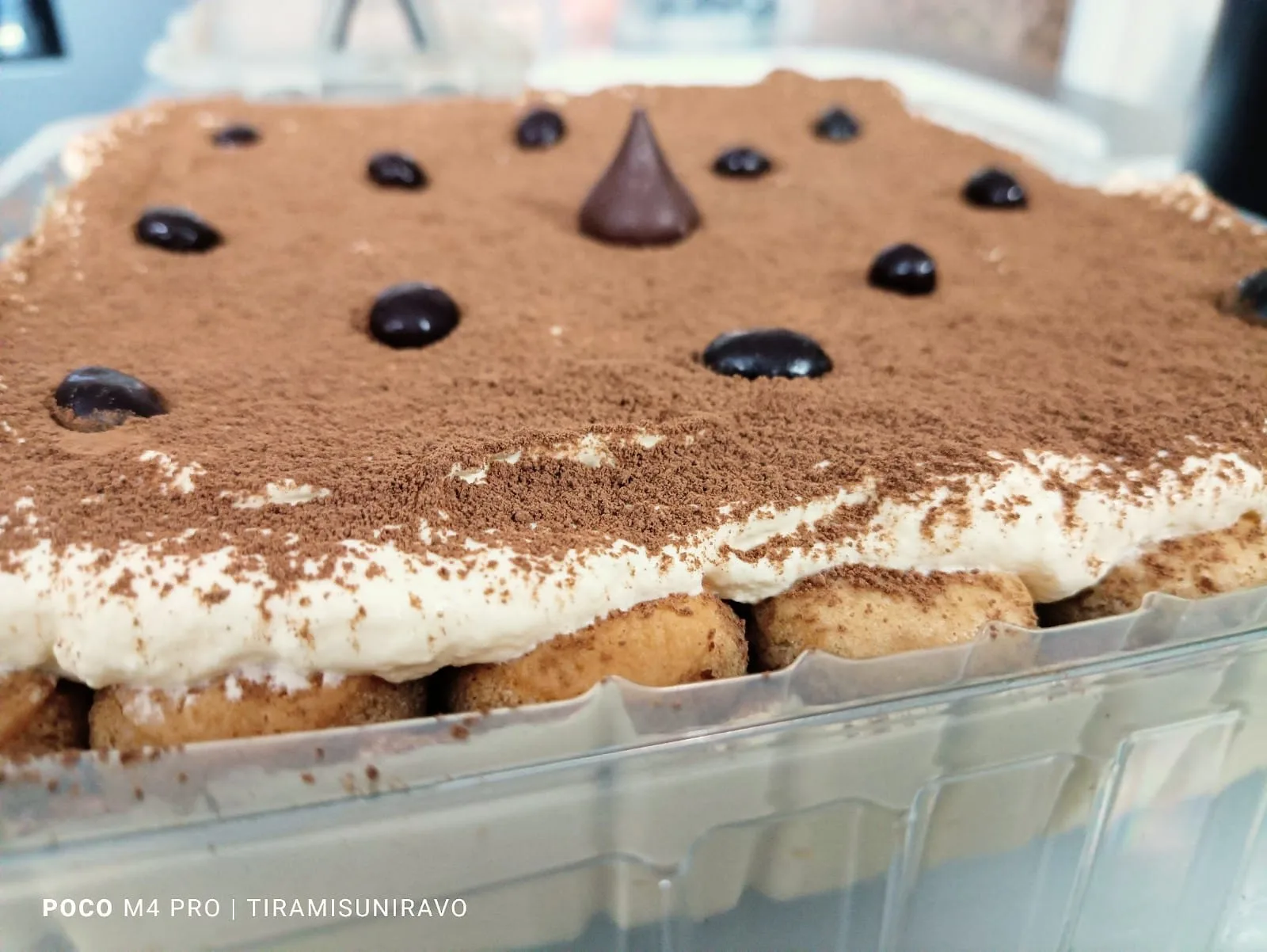 Tiramisú Niravo! 2 Tiramisu Niravo Original Italiano Campeche MEX 1